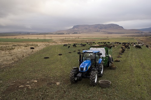 T6 da New Holland na África